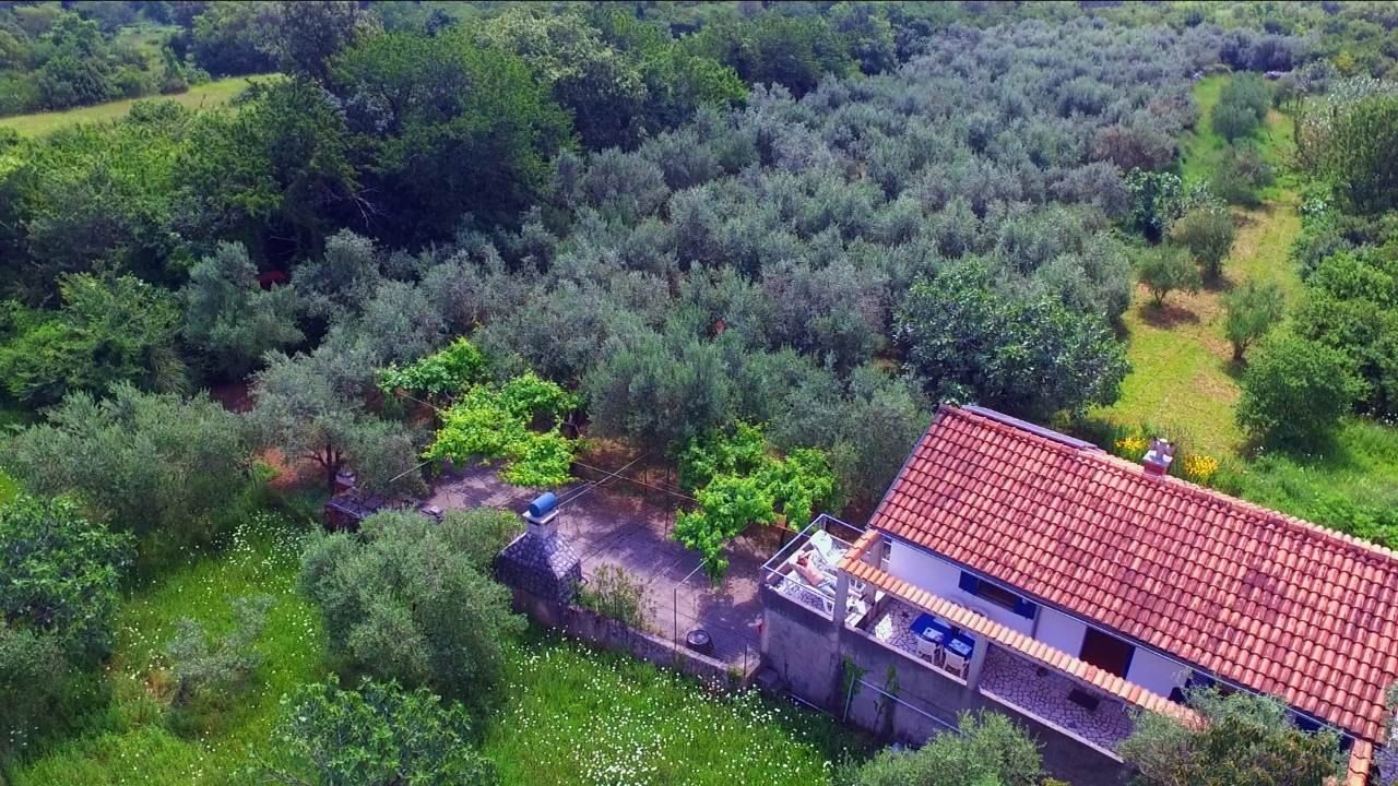 The EcoHouse from the air, its red roof surrounded by olive trees